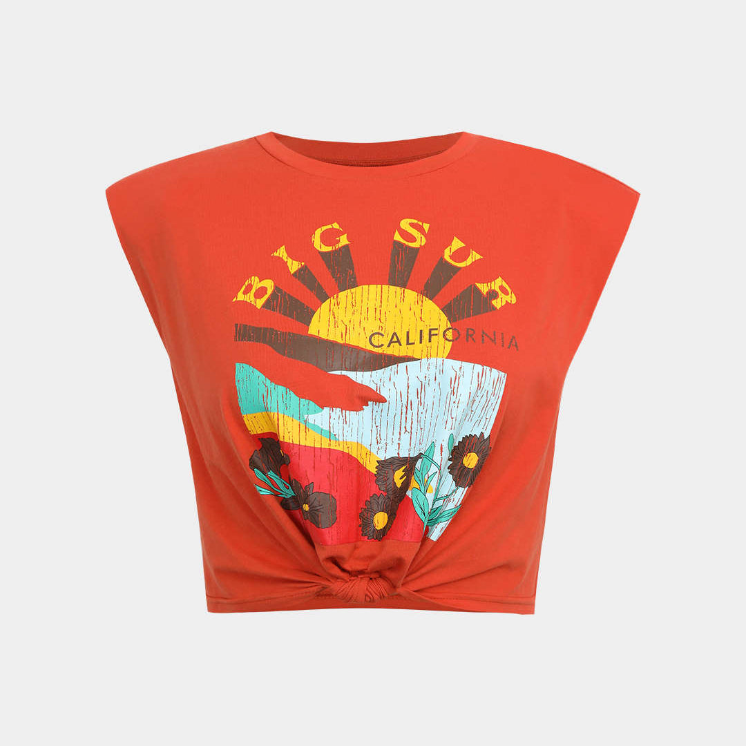 Big Sur Grafik Yastıklı Omuz Knaut Hem Tişört