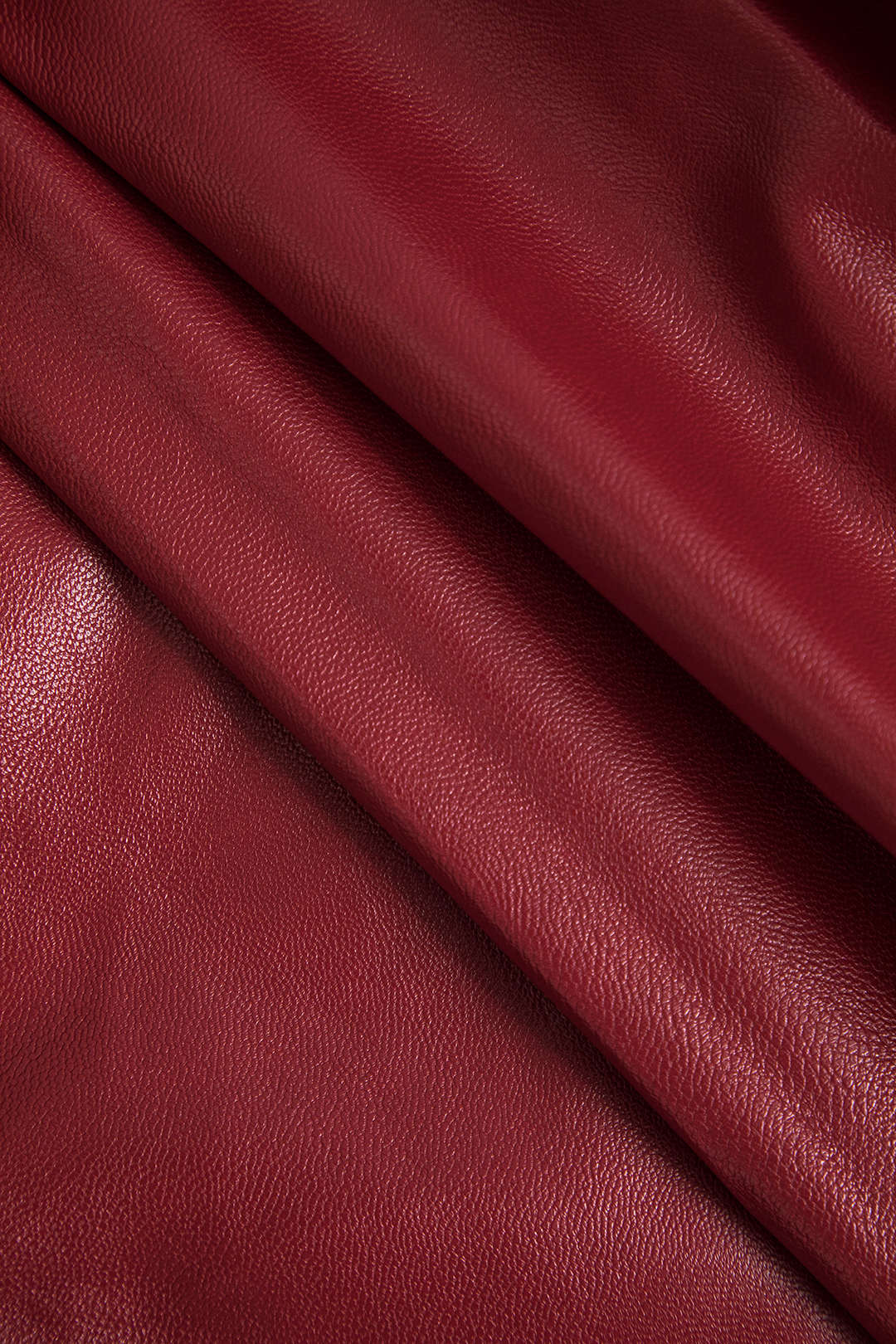 Collared Zipper Ceket